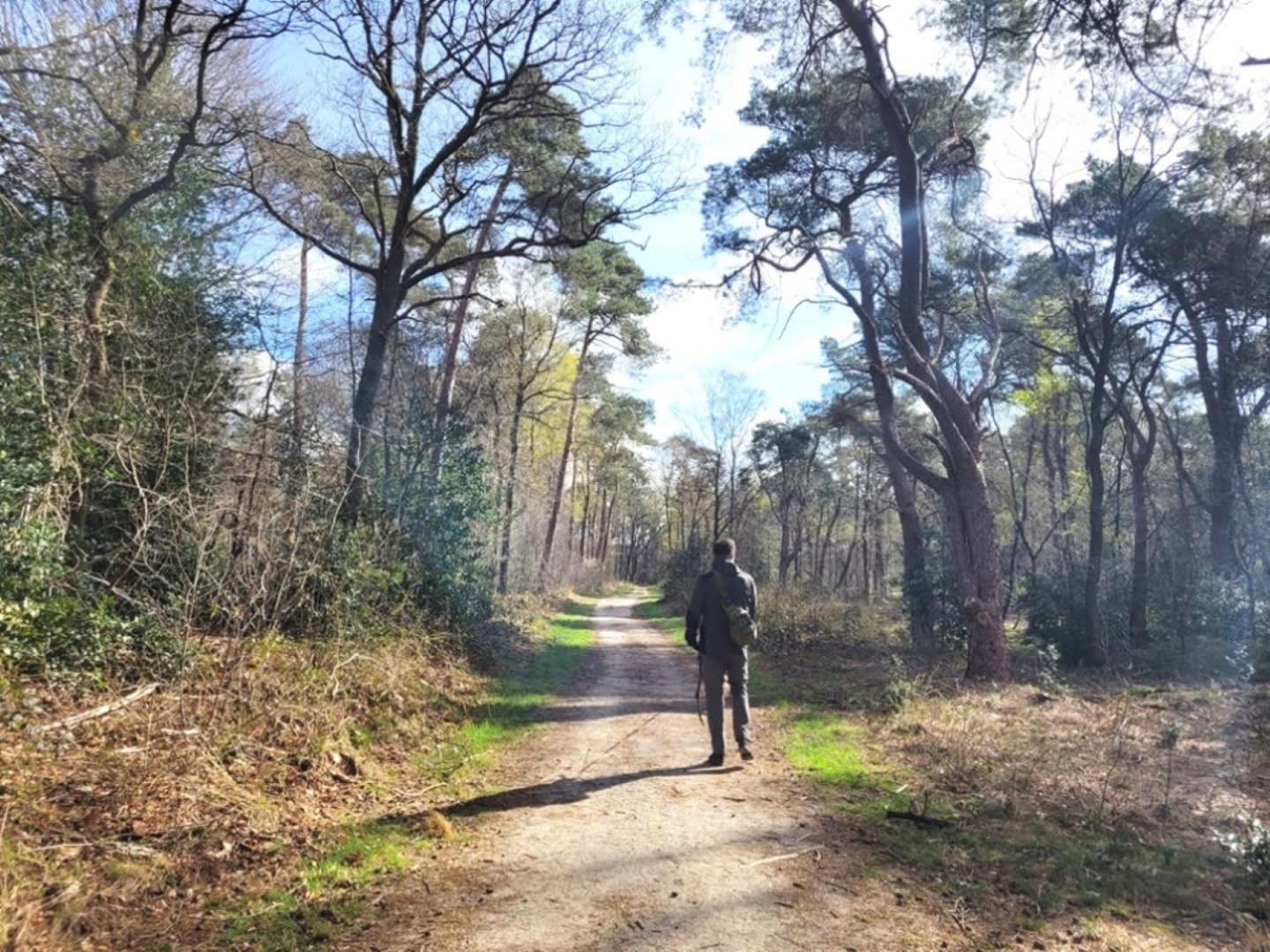Vakantiehuis Op Rustig Bospark Veluwe Voorthuizen Exterior photo